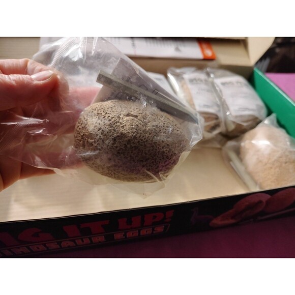 New - MindWare 12 Days of Dig It Up! - 7 Dinosaur Eggs - Ages 4+ | 1 player - Picture 5 of 6